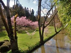 149 PARC ORIENTAL DE MAULEVIER MAINE ET LOIRE 2016 N0_000007